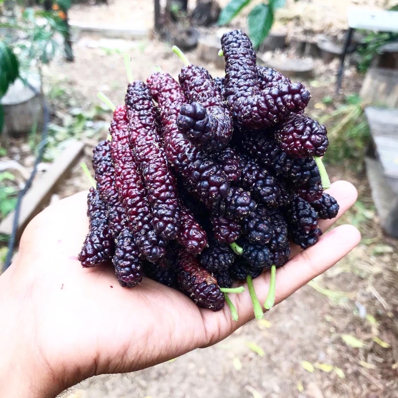 922314B7-05FF-4B99-A5F4-49F4532021DF_Original